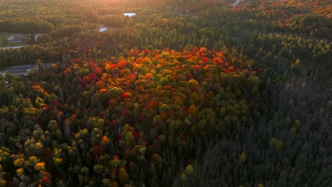 Aerial-view-of-sunlight-shining-on-top-of-colorful-Autumn-trees-during-sunset