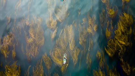 camo-inflatable-boat-in-kelp-forest