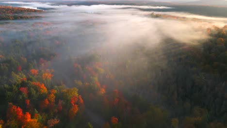 Dynamic-Close-up,-Aerial-tilt-reveal-of-beautiful-Autumn-trees-covered-in-mist,-fog,-cloud,-during-cool,-bright,-sunny-day
