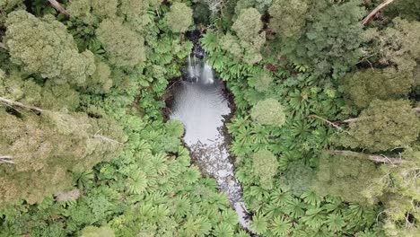 Drone-arial-over-waterfall-rising-and-looking-down-with-trees-and-ferns-all-around