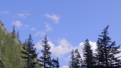 Pine-Trees-in-Mountainous-Landscape-with-Blue-Sky-Background,-Soft-Pan