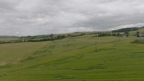 Verdant-Landscape-Of-Wheat-Field-Near-Countryside-Village