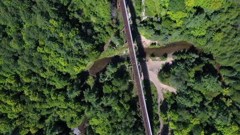 rain-Tracks-nature--green-tree-tops-circling-drone