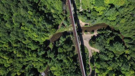 Train-Tracks-nature--green-tree-tops-circling-drone