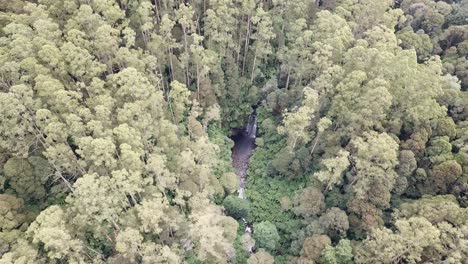 Drone-arial-of-a-waterfall-hidden-in-a-forest-amongst-trees-and-ferns-in-Australia-on-a-sunny-day