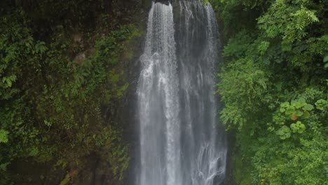Fliegen-Im-Dschungel-Auf-Einem-Wasserfall-In-Costa-Rica