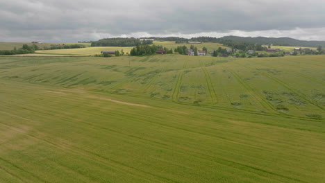 Aerial-View-Over-Large-Green-Wheat-Field-On-A-Cloudy-Day---drone-shot
