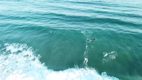 Drone-Arial-De-Surfistas-En-La-Playa-En-El-Océano-Azul-Tratando-De-Atrapar-Olas-Para-Surfear-Y-Caer