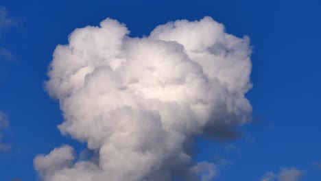 White-Cloud-Convection,-Rising-Air-against-Vibrant-Blue-Sky