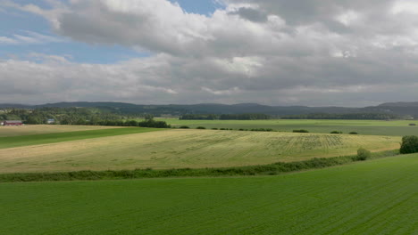 Evergreen-Landscape-Of-Vast-Agricultural-Plain-With-Wheat-Field-Crops