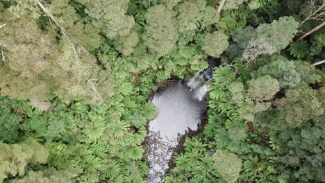 Drone-arial-over-waterfall-moving-and-looking-down-with-trees-and-ferns-all-around-during-summer-on-a-sunny-day