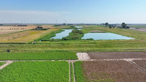 Landwirtschaftliche-Felder-Für-Die-Lebensmittelproduktion-In-Den-Niederlanden