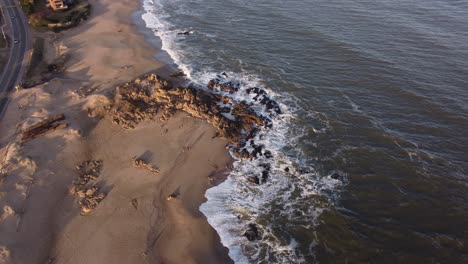 Sauberer-Strand-Von-Punta-Del-Este-Mit-Hunden,-Die-An-Der-Atlantikküste-Von-Uruguay-Spielen