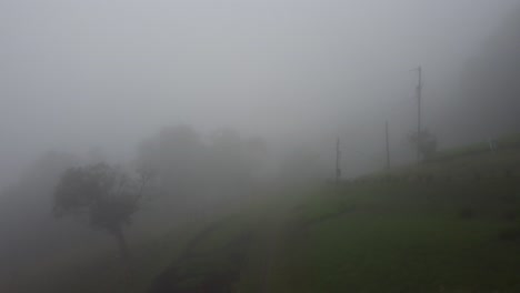 Der-Nebel-Unter-Der-Natur-In-Costa-Rica