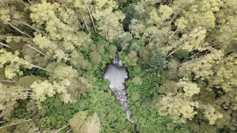 Drone-arial-over-waterfall-rising-and-turning-while-looking-down-with-trees-and-ferns-all-around-during-summer-on-a-sunny-day