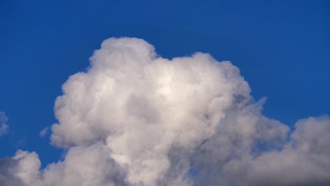 Wachsende-Und-Sich-Bewegende-Weiße-Kumuluswolken,-Luftkonvektion,-Sonniger-Tag