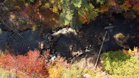 drone-flight-looking-down-over-a-small-fast-flowing-river-that-runs-through-a-vast-forest-in-bright-autumn-colors