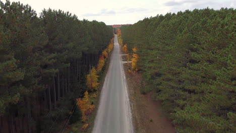 Drone-flying-above-straight-unmarked-road-between-treetops-and-colourful-autumn-shrubs