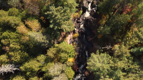 Rocky-Mountain-River-Und-Goldene-Herbstbäume,-Luftaufnahme-Von-Oben-Nach-Unten