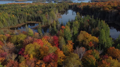 Majestic-lakes-and-colorful-autumn-forest-in-birds-eye-view,-Canada,-Ontario