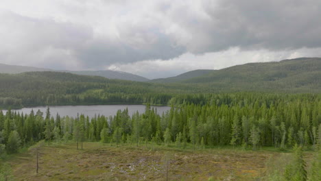 Spruce-Forest-Revealing-River-Namsen-On-A-Misty-Morning-Near-Namsskogan,-Norway