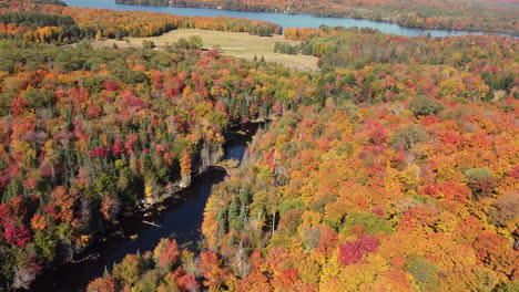 Flying-over-a-river-winding-through-seemingly-endless-colourful-autumn-forest