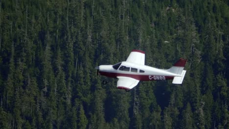 Small-Private-Plane-Flying-over-Pine-Tree-Forest,-Air-to-Air-Footage