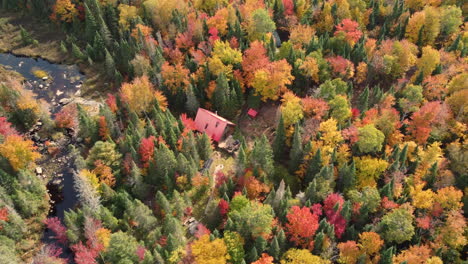 Cinematic-shot-of-drone-circling-around-a-wooden-house-in-the-middle-of-forest-with-fall-colors-and-river-at-the-back,-Algonquin-Provincial-Park