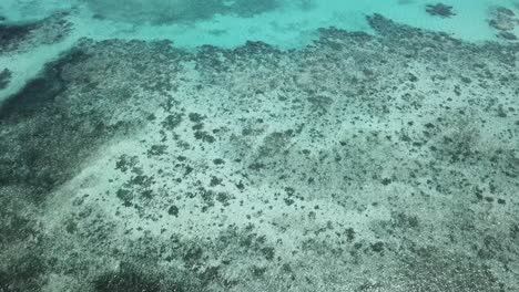 Drohnenschwenk-Nach-Oben,-Um-Das-Great-Barrier-Reef-Mit-Booten-Auf-Dem-Tropisch-Blauen-Wasser-Zu-Enthüllen