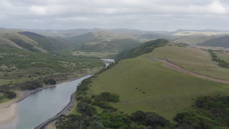 Drone-over-Rolling-Green-Hills-with-ocean-canal-in-between-and-cows-grazing,-Transkei-South-Africa