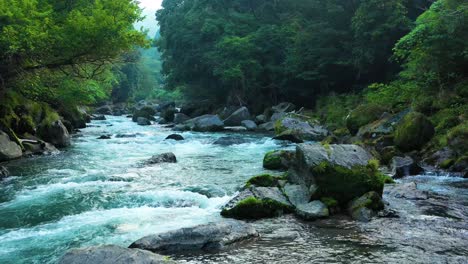 Niedrige-Antenne-über-Stark-Fließendem-Kirishima-Fluss-Mit-Klarem-Wasser-Durch-üppige-Landschaft---Japanische-Naturschönheit