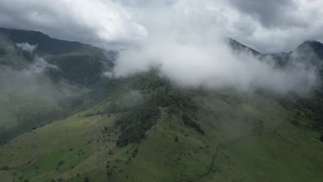 Drone-De-Visión-Aérea-Del-Bosque-Nuboso-Cinematográfico-Sobre-El-Valle-De-Cocora-Bosque-Montañoso-Andino-Colombiano-Cerca-De-La-Ciudad-De-Salento