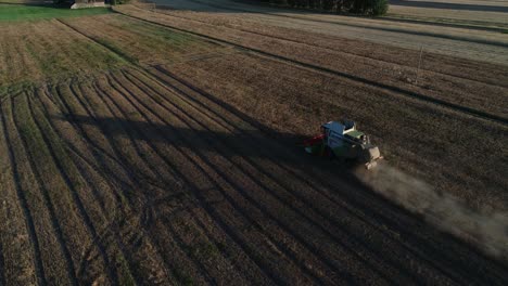 aerial-sunset-view-of-harvest-machine-working-in-a-lupine-farm-field