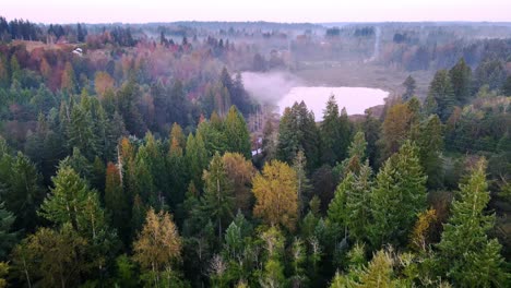 Cinematic-Shot-Of-Beautiful-Green-Forest-Ending-With-Clear-Lake-,-Foggy-Weather,-Renton,-Washington