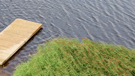 Wooden-Jetty-Built-On-Lielupe-River-Calm-Water-In-Jelgava-Natural-Reserve