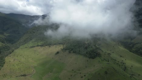 Salento,-Cocora-Valley,-Aerial-Drone-Flying-Above-Cloud-Forest-Nevados-Green-Protected-National-Park-Area-in-Andean-Cordillera-of-Colombia