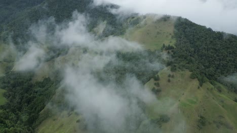 Fliegen-über-Dem-Cocora-Tal,-Übergangsritus-Aus-Dem-Salento-Kolumbien,-Drohnensicht-Aus-Der-Luft-Auf-Die-Anden,-Nebelwald-Im-Hochland