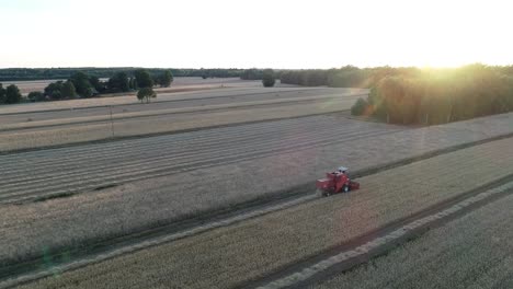 Weizenerntesaison-Luftbild-Bei-Sonnenuntergang-Der-Traktorerntemaschine,-Die-Auf-Einem-Ackerland-Arbeitet