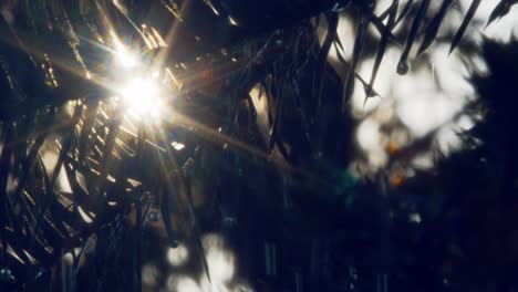 at-a-sunrise-in-the-tropical-Amazon-forest-in-Brazil,-the-sun's-rays-shine-through-the-palm-leaves-during-a-rain-shower