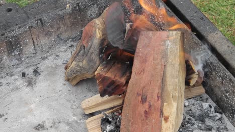 The-Barbecue-or-Braai-fire