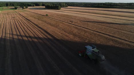 aerial-view-of-harvest-tractor-machine-in-farm-land-field-during-harvesting-season