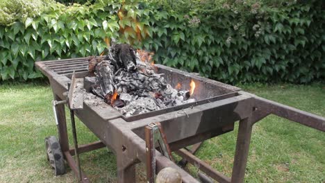 Ein-Braai-Oder-Barbecue-Im-Garten