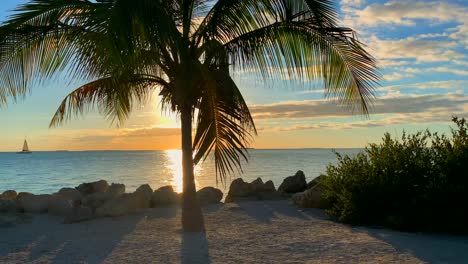 Sonnenuntergang-Und-Eine-Palme-Am-Meer,-Sonnenstrahlen-Gehen-Durch-Palmenzweig