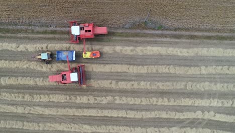 aerial-top-down-of-tractors-harvest-machines-working-together-as-a-team-in-farm-field-plantation