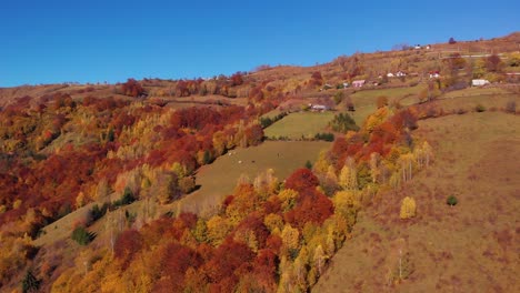 Aerial-view-of-a-farmland-hill-with-fall-colors-trees-on-a-sunny-day
