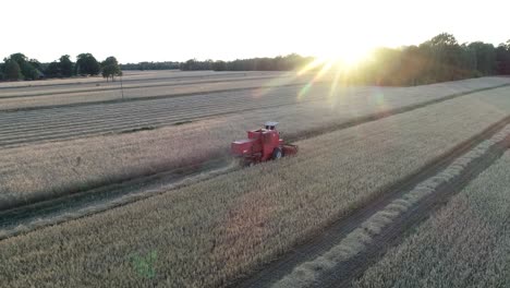 Luftaufnahme-Des-Sonnenuntergangs-Eines-Traktors,-Der-Während-Der-Malerischen-Goldenen-Stunden-Auf-Einer-Weizenfeld-Farmplantage-Arbeitet