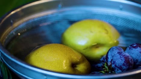 Japanese-Pears-and-Grapes-being-chilled-in-fresh-water-of-stream