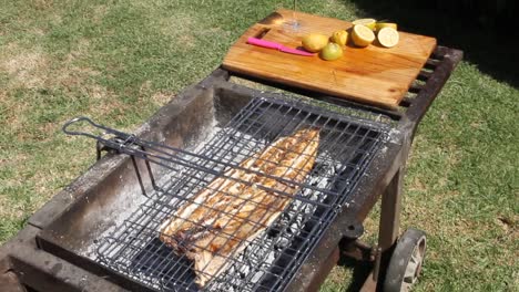Fish-being-grilled-on-the-fire