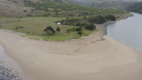Sand-bank-breaking-up-ocean-and-waves-with-green-hills-in-background,-Transkei-South-Africa