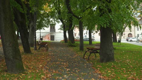 Park-bench-moody-overcast-weather,-early-autumn